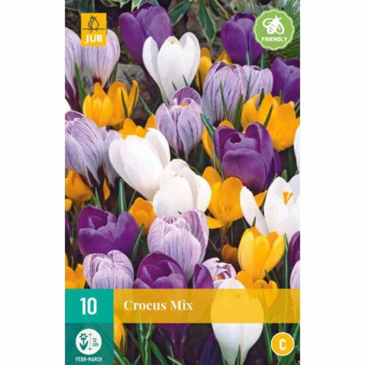 Krokus - Large Flowering Mix (10 cibulí) "C"