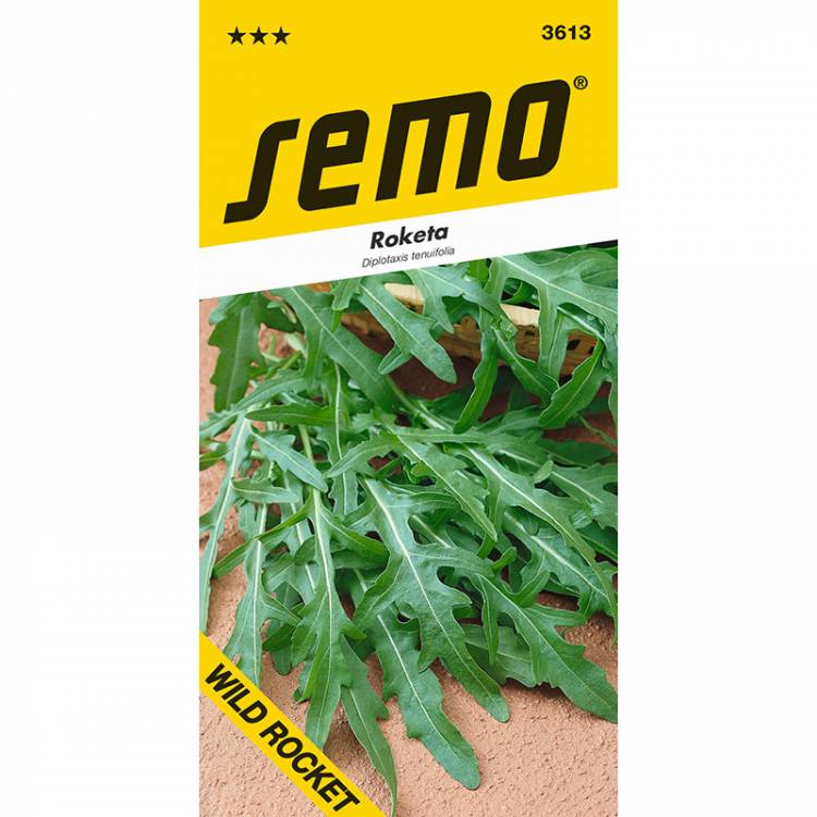 SEMO Roketa setá - Wild Rocket - Diplotaxis tenuifolia